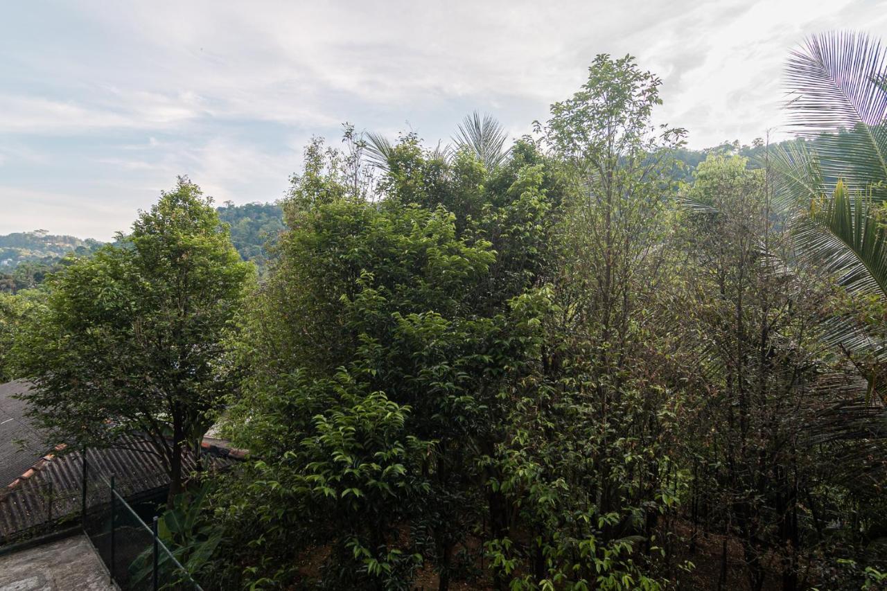 Sun Set Forest Villa Kandy Ngoại thất bức ảnh